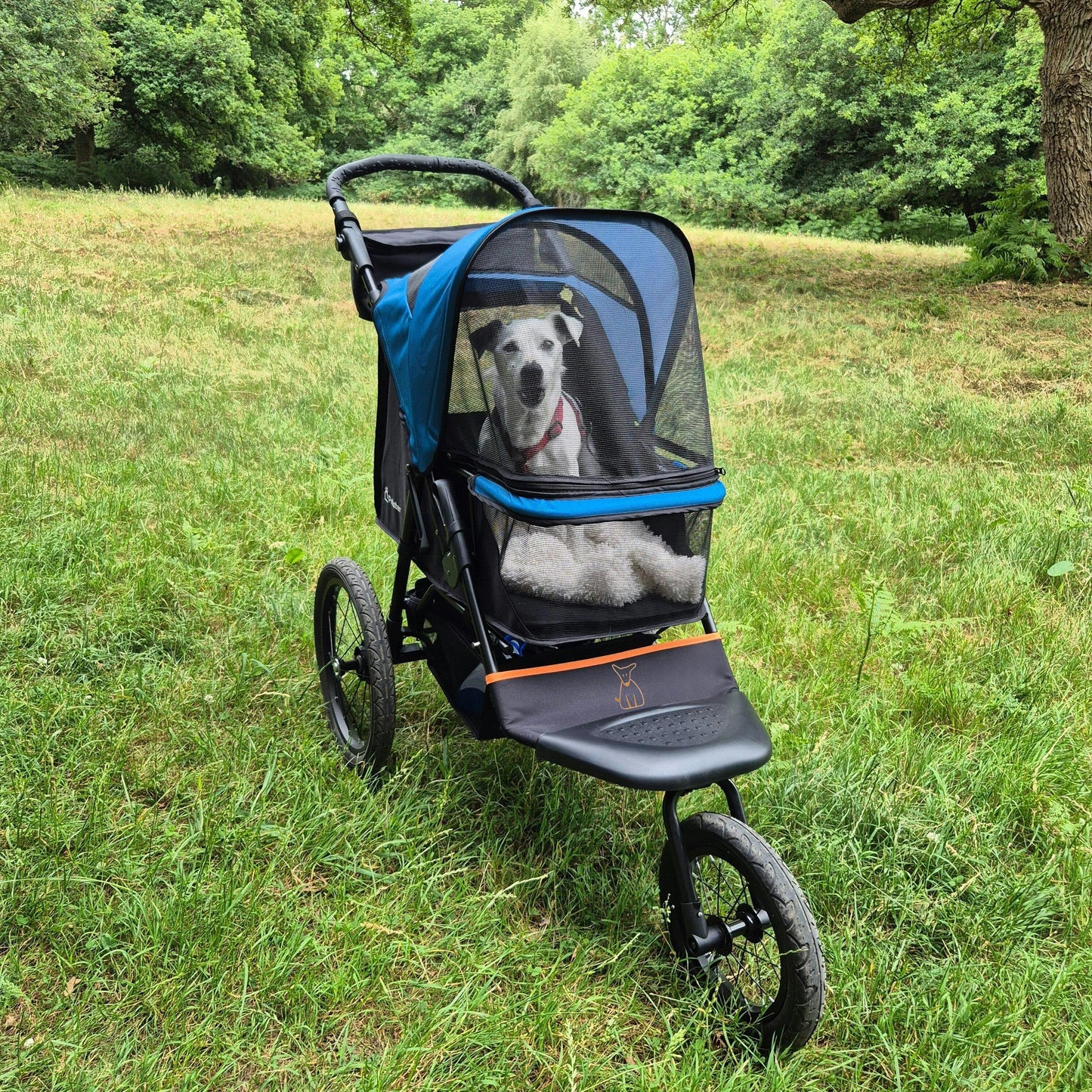 Palster Explorer Dog Stroller – All-Terrain Design, Black & Harbour Blue